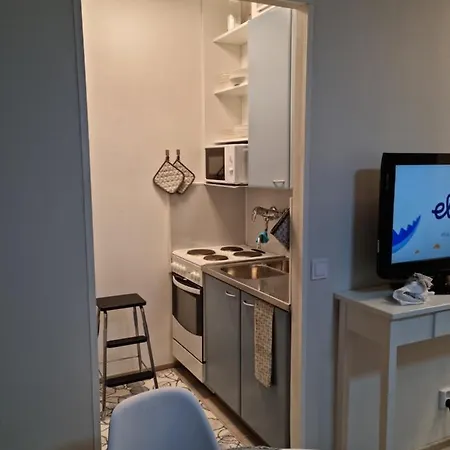 Kompakti Yksioe Numero 3 Pienkerrostalossa Apartamento Pori